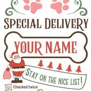 Santa Sack SVG Designs – 10 Unique Holiday Gifting Ideas